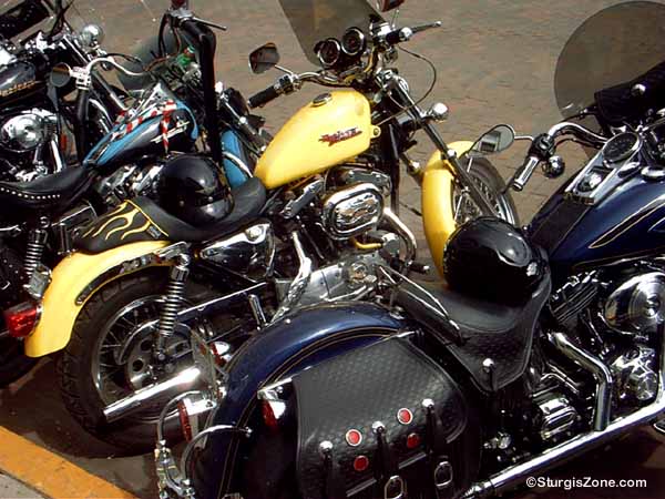 Sturgis Rally Harley Davidson motorcycles